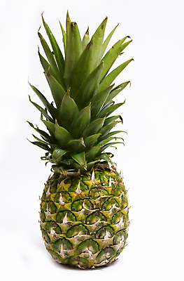 포토 JPG 해외이미지 음식 백그라운드 다이어트 과일 디저트 건강 사람없음 초록색 노란색 활발 흰색 신선 달콤 아침식사 먹기 파인애플 유기농 고립 숙성 이국적 해외포토 웰빙 컬러 컨셉 모션 식사 맛 열대과일 파일형식 이미지허브