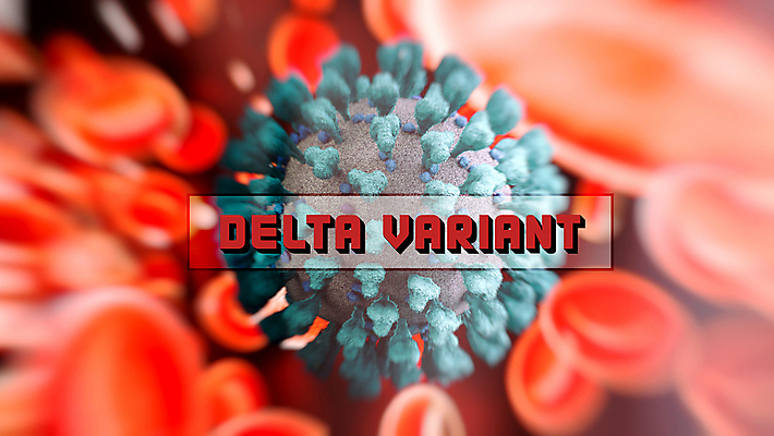 PSD 편집이미지 하늘색 타이포그라피 사람없음 빨간색 3D 사회이슈 디지털합성 적혈구 코로나바이러스 변이 델타변이바이러스 이미지편집 편집3D 문자 컬러 컨셉 파란색 바이러스 혈구 파일형식