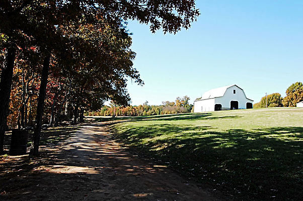 포토 JPG 해외이미지 나무 잎 자연 하늘 사람없음 야외 건물 초록색 반사 환경 가을 연못 내추럴 외양간 해외포토 식물 건축물 계절 컬러 생태계 파일형식 이미지허브