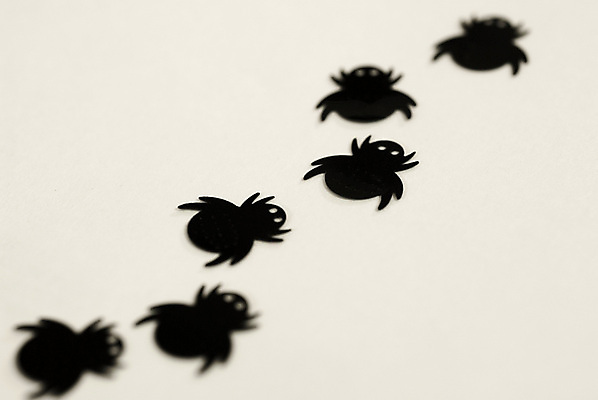 포토 JPG 해외이미지 곤충 자연 생물 실내 사람없음 장난감 검은색 침묵 할로윈 흰색 벌레 플라스틱 6 자르기 거미 고립 오싹 해외포토 동물 컬러 모션 재질 내부 숫자 소리 생태계 파일형식 이미지허브