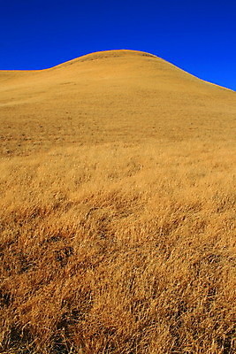 포토 JPG 해외이미지 식물 계절 공원 여행 자연 하늘 날씨 산 사람없음 파란색 노란색 맑음 시골 정상 숲 큼 언덕 속도 원정 해외포토 공공시설 컬러 크기 생태계 파일형식 이미지허브