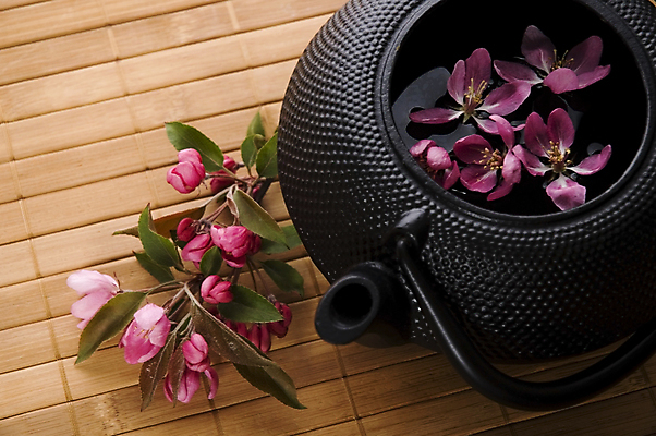 포토 JPG 해외이미지 꽃잎 티타임 사람없음 하이앵글 찻주전자 꽃차 해외포토 꽃 뷰포인트 주전자 휴식 차_음료 파일형식 이미지허브