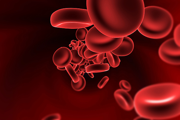 포토 JPG 해외이미지 세포 사람없음 빨간색 3D 적혈구 혈구 해외포토 컬러 디지털합성 혈관 파일형식 이미지허브