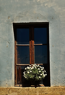 포토 JPG 해외이미지 벽 건축양식 창문 사람없음 꽃병 이탈리아 묘사 데이지 시멘트 옛날 해외포토 건축 꽃 유럽 파일형식 이미지허브