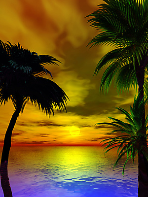 포토 JPG 해외이미지 나무 실루엣 바다 손바닥 사람없음 빨간색 물 태양 일몰 야간 저녁 매움 해외포토 자연요소 식물 손 컬러 촬영기법 노을 맛 파일형식 이미지허브