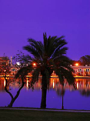 포토 JPG 해외이미지 나무 호수 오렌지 호텔 휴가 휴식 조명 손바닥 사람없음 야외 파란색 빛 반짝임 컬러풀 뷰티 파티 검은색 어둠 침묵 낭만 연못 그리기 야간 저녁 편안함 제비꽃 가득함 조용 지역 타운 깊이 이국적 해외포토 자연요소 식물 손 꽃 컬러 컨셉 과일 모션 숙소 이벤트 소리 도시 감각 파일형식 이미지허브