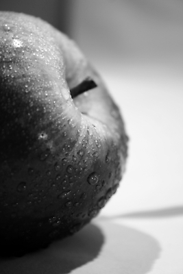 포토 JPG 해외이미지 흑백 실내 근접촬영 사람없음 한개 물방울 사과 해외포토 1 뷰포인트 과일 촬영기법 내부 파일형식 이미지허브