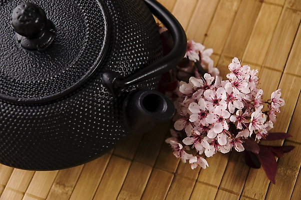 포토 JPG 해외이미지 꽃 티타임 사람없음 하이앵글 찻주전자 꽃차 해외포토 식물 뷰포인트 주전자 휴식 차_음료 파일형식 이미지허브