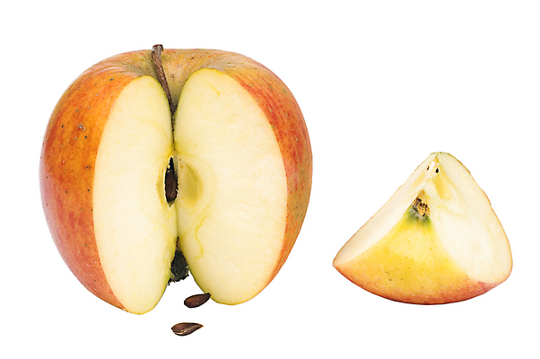 포토 JPG 해외이미지 음식 과일 자연 사람없음 신선 사과 자르기 고립 해외포토 모션 생태계 파일형식 이미지허브