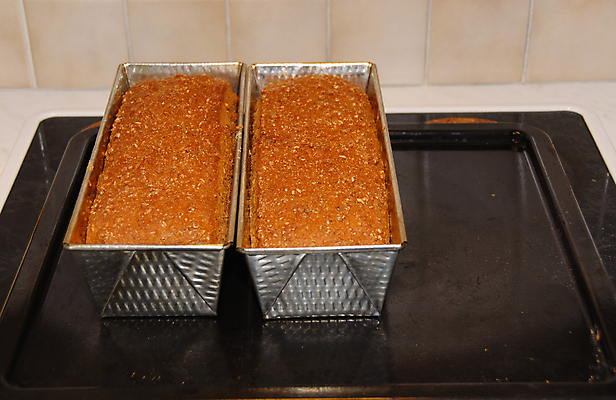 포토 JPG 해외이미지 음식 빵 주택 따뜻함 건강 노르웨이 요리 사람없음 갈색 주방 빵집 껍질 신선 뜨거움 황금 오븐 맛 낟알 밀 굽기 먹기 기아 배고픔 준비 섬유 통조림 식욕 핸드메이드 호밀 해외포토 유럽 컬러 컨셉 모션 곡류 건물 상점 가전제품 직물 구이 사회이슈 파일형식 이미지허브