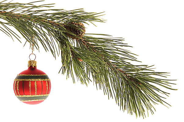 포토 JPG 해외이미지 나무 전통 디자인 계절 백그라운드 크리스마스 겨울 공 탁자 휴가 주택 프레임 선물 사람없음 목재 장식 빨간색 초록색 빛 저녁식사 놀람 흰색 나뭇가지 축하 소나무 신용카드 황금 12월 크리스탈 연도 질감 기회 상록수 원뿔 고립 핸드메이드 해외포토 도형 식물 기념일 감정 컬러 가구 컨셉 재료 표정 건물 금융 식사 날짜 광석 파일형식 이미지허브