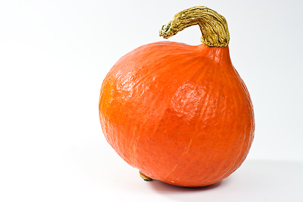 포토 JPG 해외이미지 스튜디오촬영 1 채소 오렌지 호박 사람없음 가로 흰색 홋카이도 스쿼시 해외포토 스포츠 컬러 과일 실내 구기 일본 파일형식 이미지허브