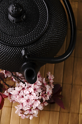 포토 JPG 해외이미지 꽃 티타임 사람없음 하이앵글 차 찻주전자 꽃차 해외포토 식물 음료 뷰포인트 주전자 휴식 차_음료 파일형식 이미지허브