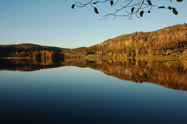 포토 JPG 해외이미지 나무 호수 자연 사람없음 초록색 물 파란색 가을 숲 해외포토 자연요소 식물 계절 컬러 생태계 파일형식 이미지허브