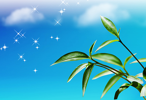 포토 JPG 해외이미지 구름 라이프스타일 남자 꽃 행복 어린이 여행 백그라운드 잎 크리스마스 밭 일러스트 모션 자연 하늘 산 사람 풍경 초원 사람없음 초록색 파란색 빛 뷰티 냉동 희망 봄 기쁨 가을 흰색 나뭇가지 전원 숲 언덕 해외포토 자연요소 나무 식물 계절 기념일 감정 컬러 농업 생활 전기에너지 생태계 파일형식 이미지허브