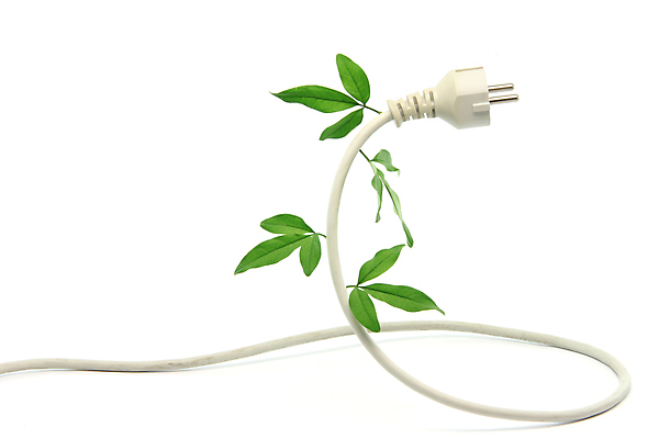 포토 JPG 해외이미지 식물 산업 백그라운드 컨셉 잎 자연 아이디어 사람없음 초록색 환경 힘 에너지 흰색 오염 플러그 코드 확대 연결 심볼 생태계 철사 고립 생태학 전압 공급 스타일 해외포토 교육 컬러 파일형식 이미지허브