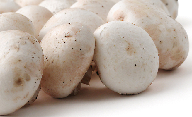 포토 JPG 해외이미지 음식 채소 재료 건강 사람없음 농장 쌓기 버섯 흰색 신선 그룹 맛 유기농 날것 흙더미 제비 내추럴 맛있는 해외포토 웰빙 컬러 컨셉 농업 모션 조류 흙 파일형식 더미 이미지허브