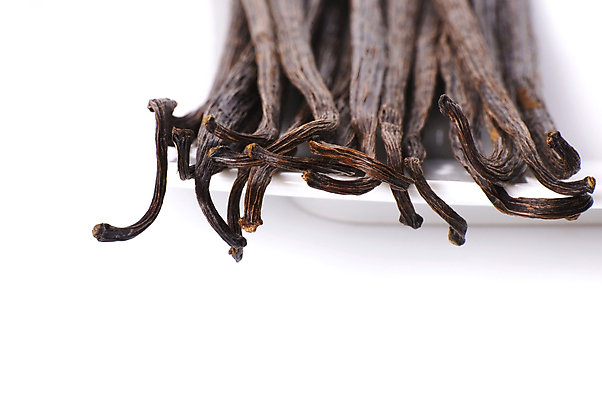 포토 JPG 해외이미지 음식 백그라운드 재료 콩 사탕 요리 사람없음 갈색 흰색 달콤 맛 다발 먹기 허브 향신료 아로마 향 내추럴 바닐라 식욕 해외포토 식물 컬러 컨셉 모션 디저트 곡류 향미료 파일형식 이미지허브