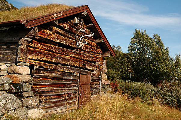 포토 JPG 해외이미지 외관 야생동물 벽 건축양식 주택 노르웨이 사람없음 건물 목재 수확 역사 오두막 시골집 복고 투자 보험 옛날 해외포토 나무 동물 건축물 건축 유럽 농업 비즈니스 재료 파일형식 이미지허브
