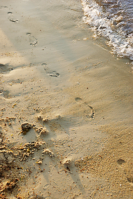 포토 JPG 해외이미지 길 모래 파도 바다 여행 컨셉 맨발 자연 휴가 휴식 사람없음 야외 물 모래사장 평화 맑음 산책 자유 고독 떨어짐 인쇄 발자국 질감 주말 단계 내추럴 방법 선로 양발 파라다이스 혼자 해외포토 자연요소 감정 자국 발 날씨 생태계 파일형식 이미지허브