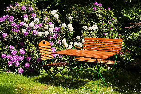 포토 JPG 해외이미지 주간 꽃 사람없음 야외 정원 나무의자 나무탁자 해외포토 자연요소 식물 의자 탁자 목재 파일형식 이미지허브