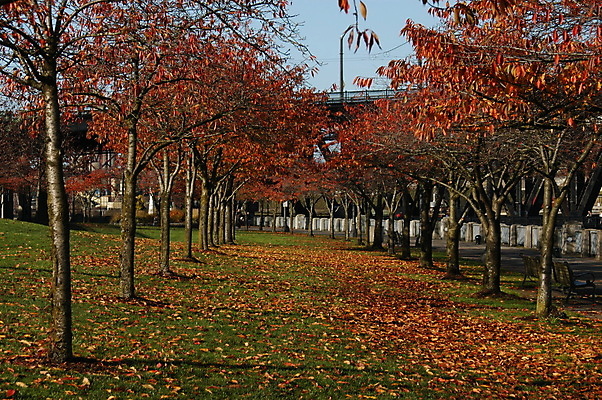포토 JPG 해외이미지 나무 공원 도로 길 여행 잎 사람없음 야외 초록색 도시 방문 해외포토 식물 공공시설 컬러 교통시설 파일형식 이미지허브