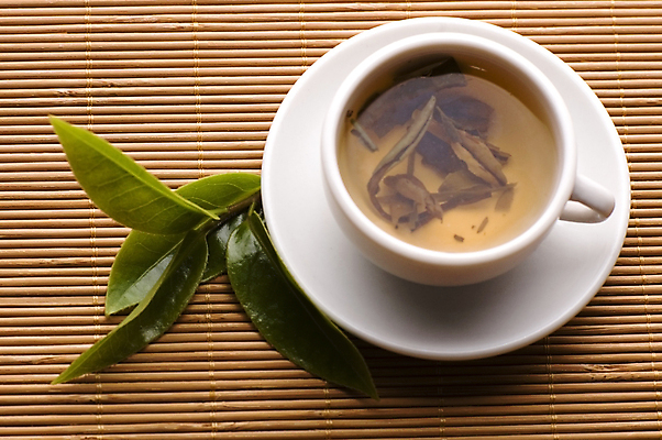 포토 JPG 해외이미지 잎 티타임 사람없음 하이앵글 찻잔 컵받침 해외포토 식물 뷰포인트 휴식 잔 받침대 파일형식 이미지허브