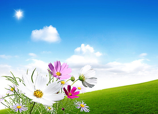 포토 JPG 해외이미지 구름 라이프스타일 남자 행복 어린이 여행 백그라운드 잎 크리스마스 밭 일러스트 모션 자연 하늘 산 프레임 사람 풍경 초원 사람없음 초록색 파란색 빛 뷰티 냉동 희망 봄 기쁨 가을 흰색 나뭇가지 전원 숲 언덕 해외포토 자연요소 나무 식물 계절 기념일 감정 컬러 농업 생활 전기에너지 생태계 파일형식 이미지허브