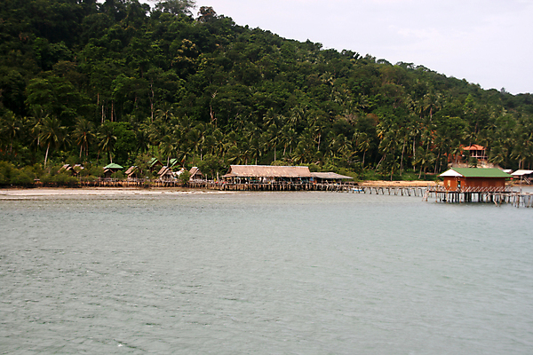 포토 JPG 해외이미지 나무 전통 아시아 바다 여행 태국 자연 호텔 휴가 산 주택 손바닥 사람없음 건물 목재 물 여름 숲 휴양지 코코넛 이국적 해외포토 자연요소 식물 건축물 손 계절 나라 과일 재료 숙소 장소 생태계 파일형식 이미지허브