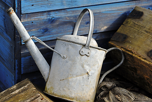 포토 JPG 해외이미지 식물 유물 사람없음 야외 목재 물 파란색 금속 정원 봄 물뿌리개 골동품 도구 공구 시골 물주기 원예 헛간 스프링쿨러 심기 옛날 해외포토 자연요소 나무 전통 계절 컬러 재료 모션 재질 취미 저장고 파일형식 이미지허브