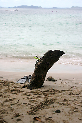 포토 JPG 해외이미지 나무 아시아 모래 파도 바다 섬 여행 태국 자연 하늘 휴가 사람 사람없음 초록색 물 여름 파란색 여행객 수영 다이빙 이국적 수평선 해외포토 자연요소 식물 계절 나라 컬러 수상스포츠 생태계 수중스포츠 파일형식 이미지허브