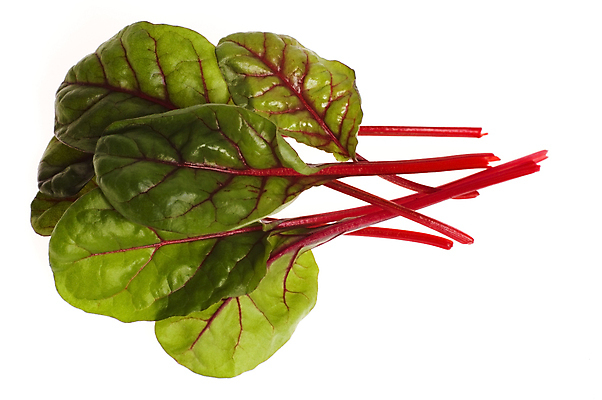 포토 JPG 해외이미지 전신 음식 잎 채소 사람없음 빨간색 초록색 신선 다발 흰배경 날것 성분 고립 채식주의자 해외포토 식물 컬러 백그라운드 흰색 채식 파일형식 이미지허브