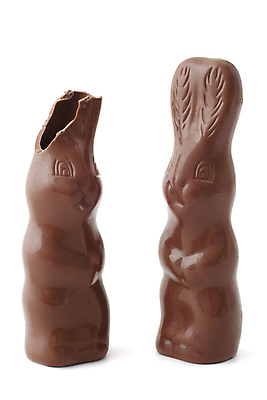 포토 JPG 해외이미지 계절 음식 휴가 디저트 부활절 사탕 사람없음 장식 갈색 초콜릿 봄 흰색 축하 토끼 달콤 먹기 심볼 고립 맛있는 해외포토 기념일 컬러 컨셉 포유류 모션 반려동물 맛 파일형식 이미지허브