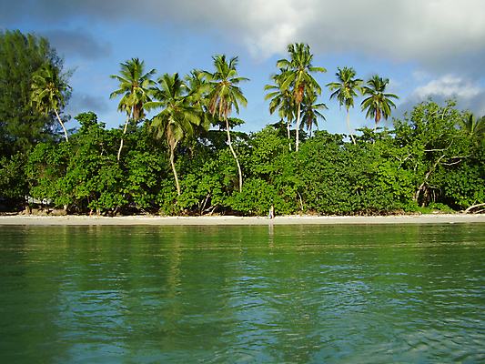 포토 JPG 해외이미지 나무 바다 섬 여행 하늘 휴식 손바닥 사람없음 초록색 물 파란색 햇빛 세이셸 해외포토 자연요소 식물 손 컬러 컨셉 아프리카 태양 파일형식 이미지허브