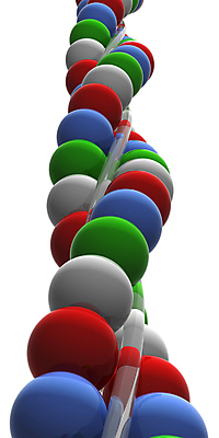 포토 JPG 해외이미지 동물 과학 백그라운드 일러스트 해부 자연 세포 건강 사람 사람없음 3D 성장 DNA 생명공학 생물학 만들기 염색체 진행 유전 해외일러스트 교육 의학 모션 디지털합성 생태계 파일형식 이미지허브