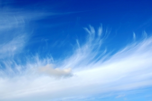 포토 JPG 해외이미지 계절 실루엣 하늘색 백그라운드 자연 벽지 하늘 사람없음 야외 파란색 빛 뷰티 맑음 웹 덮개 흰색 만족 질감 부드러움 천국 솜털 내추럴 해외포토 감정 컬러 인터넷 날씨 촬영기법 뚜껑 감각 생태계 파일형식 이미지허브