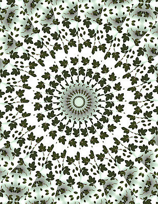 포토 JPG 해외이미지 백그라운드 잎 패턴 추상 사람없음 장미 해외포토 식물 꽃 무늬 파일형식 이미지허브