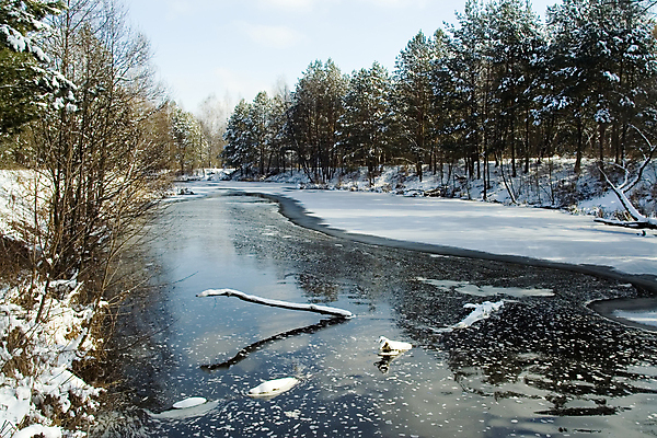 포토 JPG 해외이미지 나무 식물 겨울 사람없음 물 강 반사 얼음 침묵 거품 흐름 추위 소나무 개울 숲 해외포토 자연요소 계절 컨셉 소리 파일형식 이미지허브