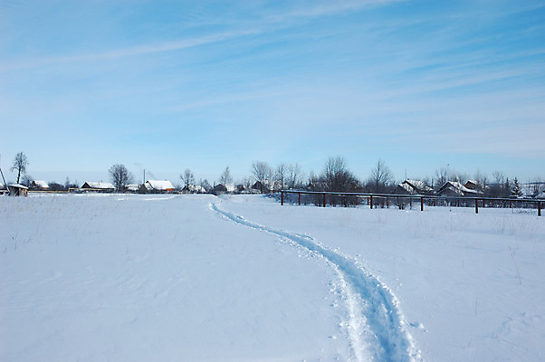 포토 JPG 해외이미지 나무 계절 길 겨울 밭 자연 하늘 아침 날씨 휴식 주택 그림자 풍경 사람없음 파란색 빛 울타리 마을 맑음 얼음 추위 흰색 시골 신선 보행자 작음 땅 순수 서리 러시아 좁은 지역 1월 2월 선로 양발 혼자 해외포토 주간 자연요소 식물 유럽 컬러 컨셉 농업 건물 담장 날짜 크기 생태계 파일형식 이미지허브