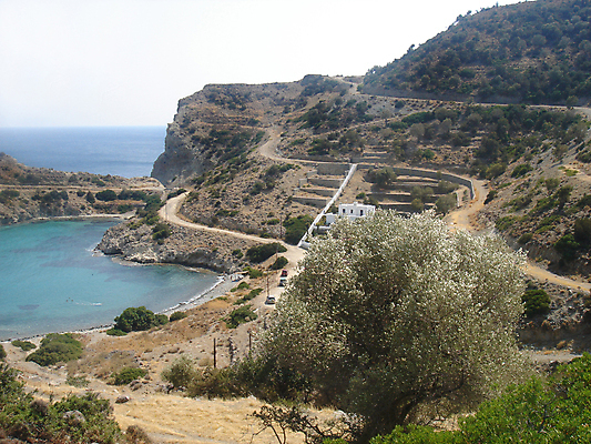 포토 JPG 해외이미지 나무 도로 바다 섬 여행 자동차 자연 날씨 주택 사람없음 물 맑음 만 땅 그리스 언덕 올리브 땅바닥 해외포토 자연요소 식물 열매 유럽 길 육상교통 교통시설 바닥 건물 생태계 파일형식이미지허브 
