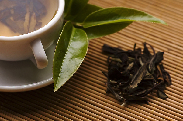 포토 JPG 해외이미지 잎 티타임 근접촬영 사람없음 찻잔 녹차 컵받침 찻잎 녹차잎 해외포토 식물 뷰포인트 휴식 잔 차_음료 받침대 파일형식 이미지허브