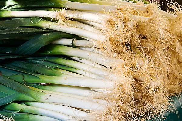 포토 JPG 해외이미지 음식 채소 사람없음 가로 초록색 흰색 시장 날것 부추 해외포토 컬러 파일형식 이미지허브