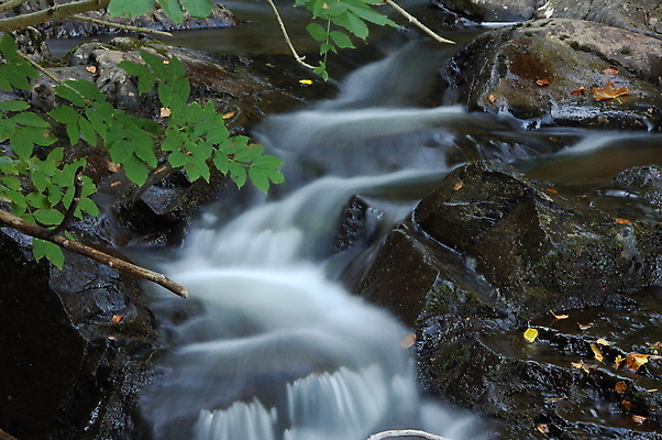 포토 JPG 해외이미지 나무 자연 사람없음 목재 초록색 물 강 폭포 숲 부드러움 해외포토 자연요소 식물 컬러 재료 감각 생태계 파일형식 이미지허브
