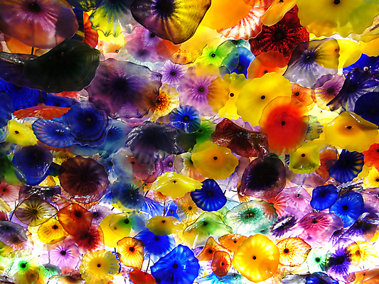 포토 JPG 해외이미지 모양 디자인 꽃 백그라운드 패턴 곡선 오렌지 건축양식 유리 추상 미술 사람없음 내부 빨간색 초록색 파란색 빛 컬러풀 노란색 희망 소용돌이 얼룩 가장자리 파편 묘사 천장 질감 웨이브 서식 창백 깊이 특별함 해외포토 식물 건축 감정 선 컬러 컨셉 무늬 과일 재질 문화예술 회오리 둘레 파일형식 이미지허브