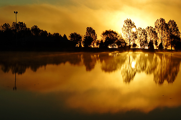 포토 JPG 해외이미지 나무 실루엣 호수 캐나다 오렌지 자연 하늘 아침 흑백 그림자 사람없음 야외 물 여름 빛 강 햇빛 태양 뷰티 반사 노란색 일출 침묵 일몰 새벽 가을 뜨거움 투명 소프트포커스 폭발 언덕 장면 해외포토 주간 자연요소 식물 계절 컬러 북아메리카 과일 촬영기법 노을 소리 생태계 파일형식 이미지허브