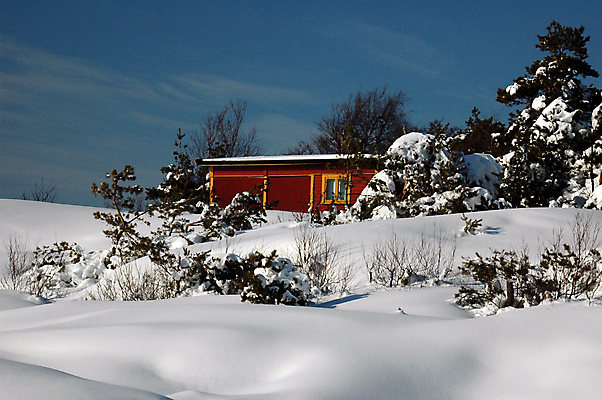 포토 JPG 해외이미지 나무 겨울 자연 노르웨이 사람없음 냉동 얼음 추위 오두막 시골집 암초 해외포토 자연요소 식물 계절 유럽 주택 생태계 파일형식 이미지허브