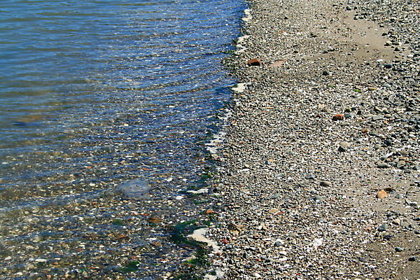 포토 JPG 해외이미지 모래 파도 바다 하늘 휴가 열대 따뜻함 해변 사람없음 물 모래사장 햇빛 태양 맑음 거품 젖음 뜨거움 서핑 태평양 대서양 수평선 해외포토 자연요소 날씨 수상스포츠 파일형식 이미지허브