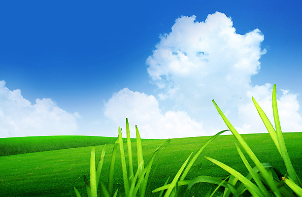 포토 JPG 해외이미지 구름 라이프스타일 남자 행복 어린이 여행 백그라운드 잎 크리스마스 밭 일러스트 모션 자연 하늘 산 프레임 사람 풍경 초원 사람없음 초록색 파란색 빛 뷰티 냉동 희망 봄 기쁨 가을 흰색 나뭇가지 전원 숲 언덕 해외포토 자연요소 나무 식물 계절 기념일 감정 컬러 농업 생활 전기에너지 생태계 파일형식 이미지허브