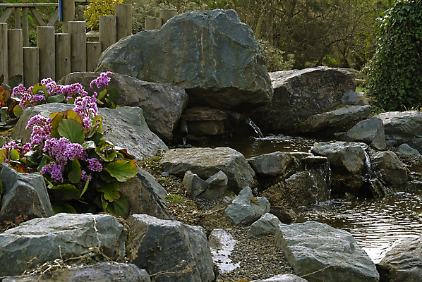 포토 JPG 해외이미지 디자인 외관 꽃 호수 물결 이동 사람없음 정원 봄 흐름 연못 개울 분수 원예 현재 해외포토 식물 계절 컨셉 취미 강 파일형식 이미지허브