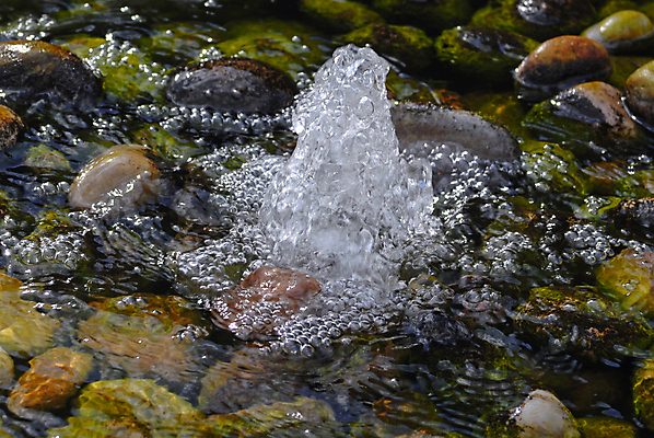 포토 JPG 해외이미지 백그라운드 사람없음 물 강 반사 정원 봄 나뭇가지 저수지 연못 개울 가장자리 분수 원예 대야 현재 해외포토 자연요소 나무 계절 컨셉 취미 둘레 파일형식 이미지허브
